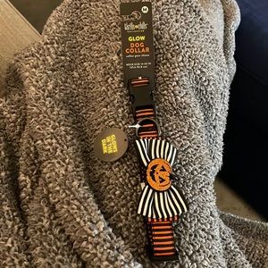 Halloween Dog Collar glows in dark!